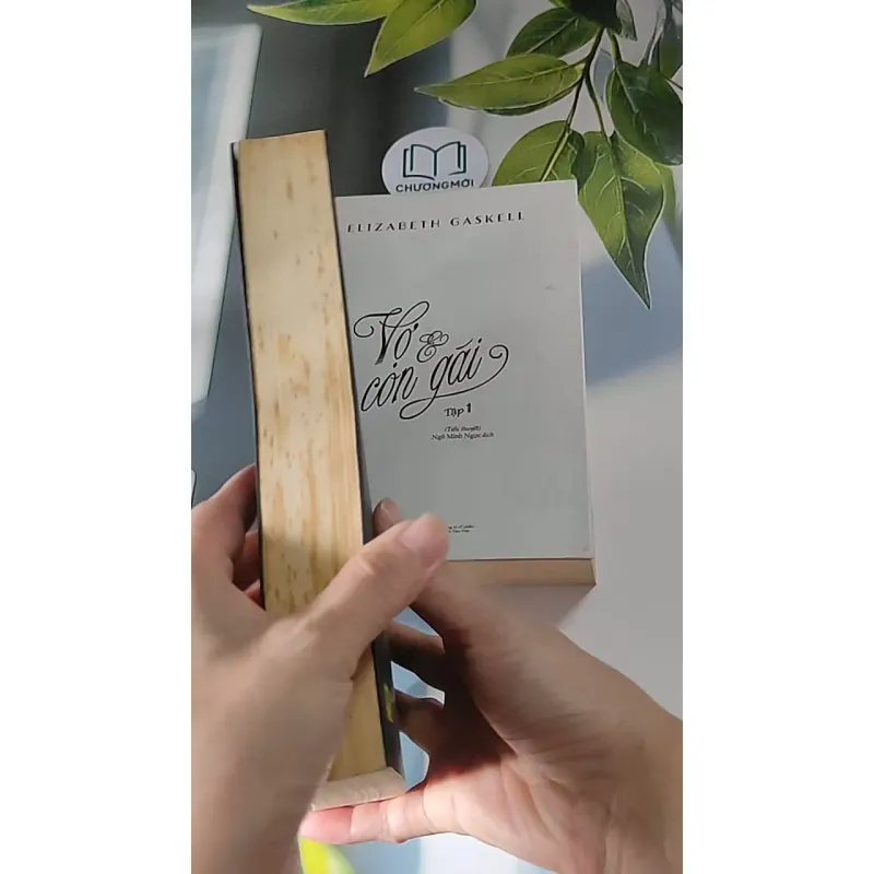 [MIỄN PHÍ BỌC SÁCH] Vợ và con gái ( Tập 1 + 2) (2016) - Elizabeth Gaskell 607675