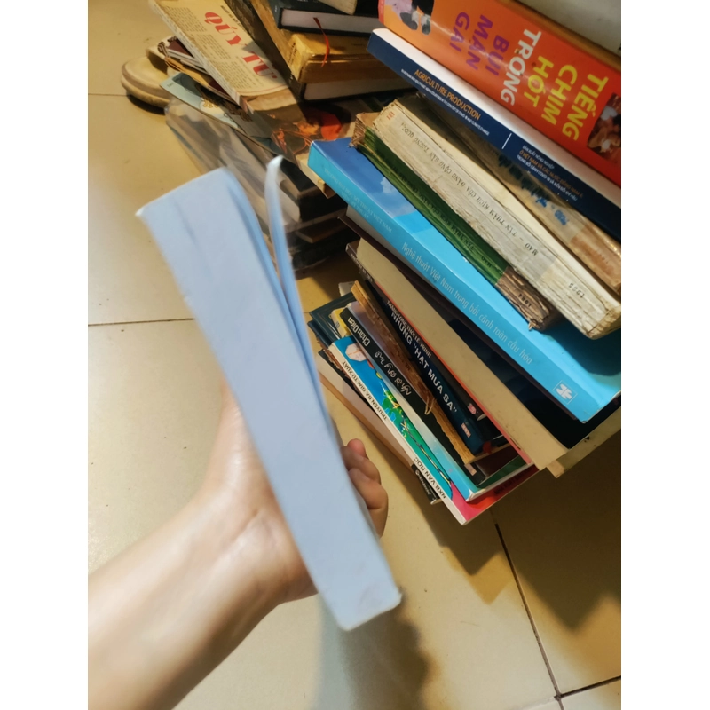 Chợ ở miền đông nam bộ một góc nhìn 466559
