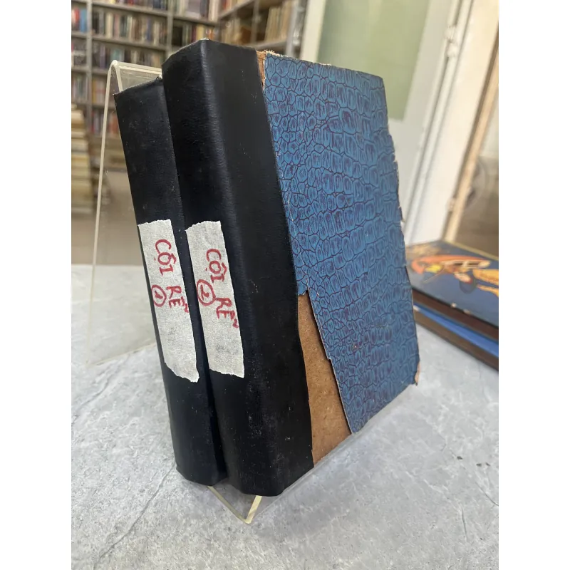 CỘI RỄ - DƯƠNG TƯỜNG 797723