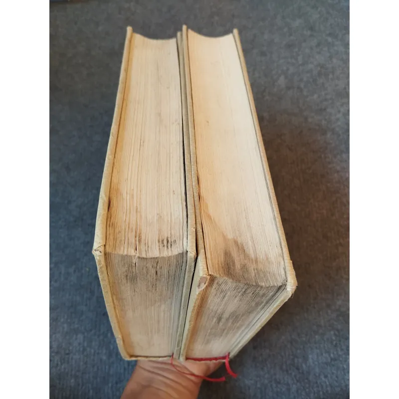 ĐẤT MIỀN ĐÔNG - NAM HÀ 727179