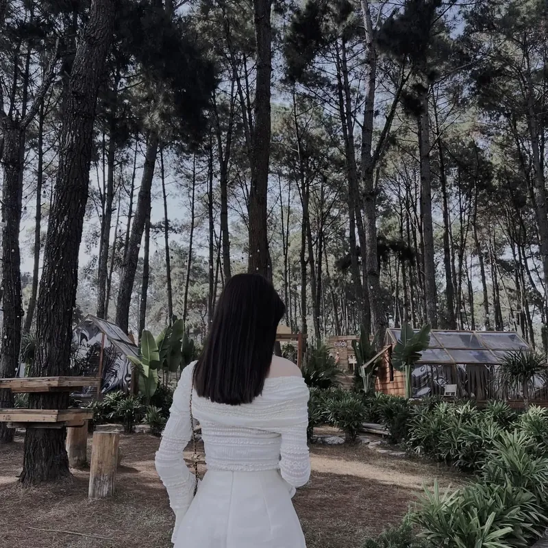 Sét áo , váy  575602