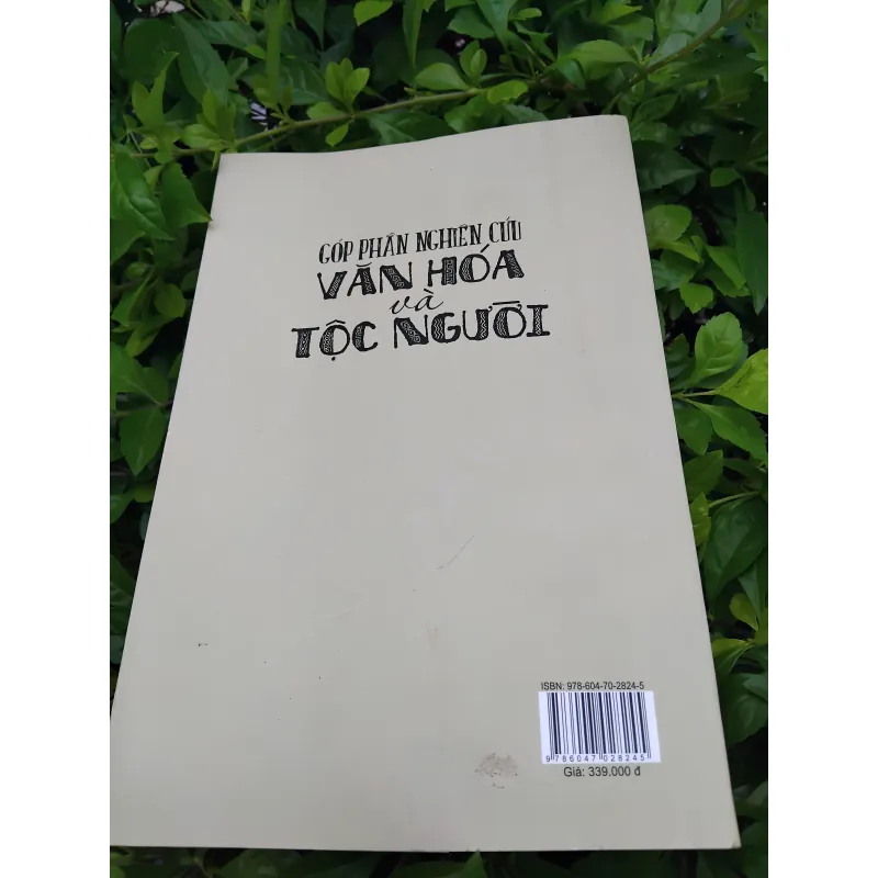 Góp phần nghiên cứu văn hóa và tộc người của GS  Nguyễn Từ Chi 990105