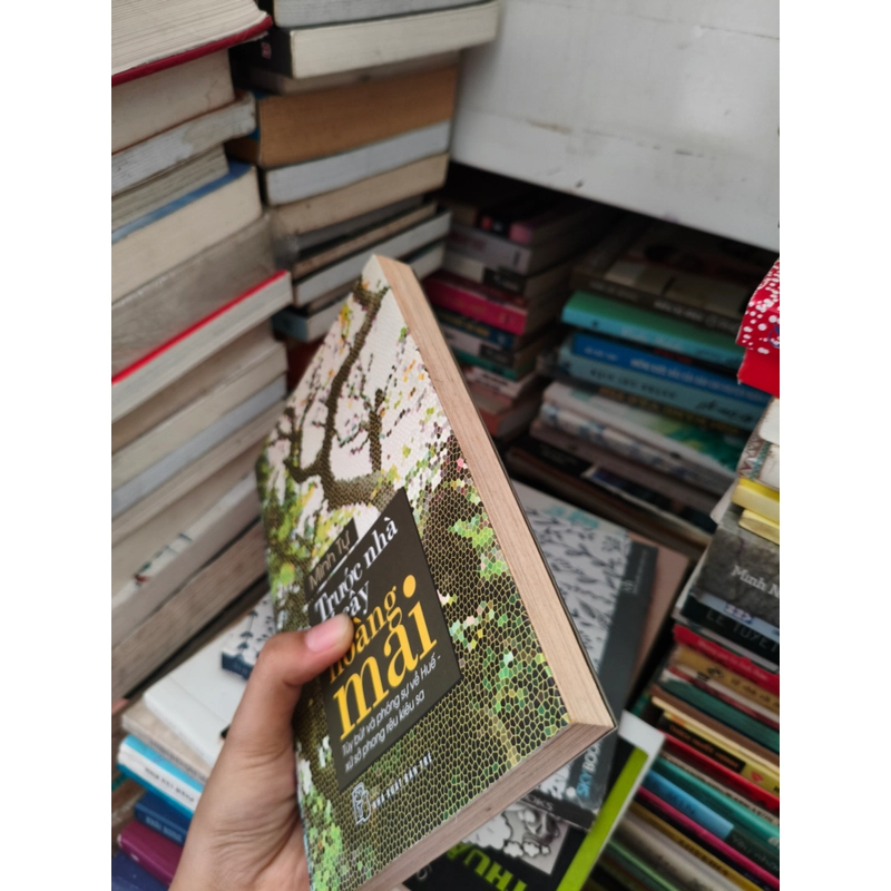 Trước nhà có cây hoàng mai 🌱 549231