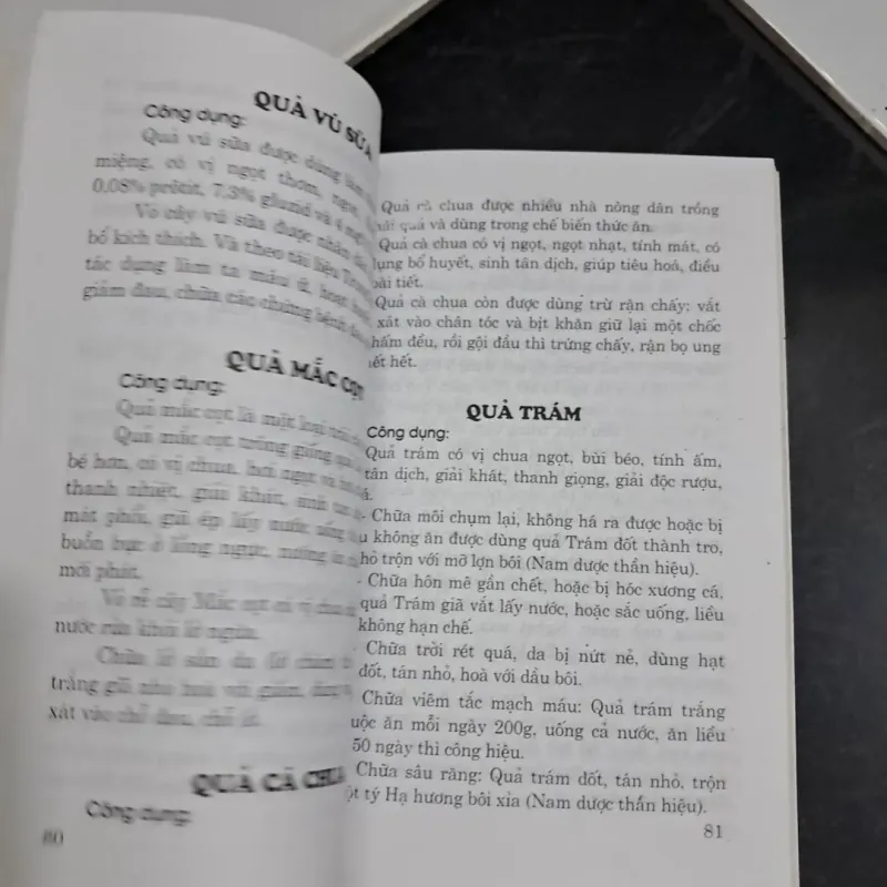 Chữa bệnh bằng cây lá quanh ta 995316