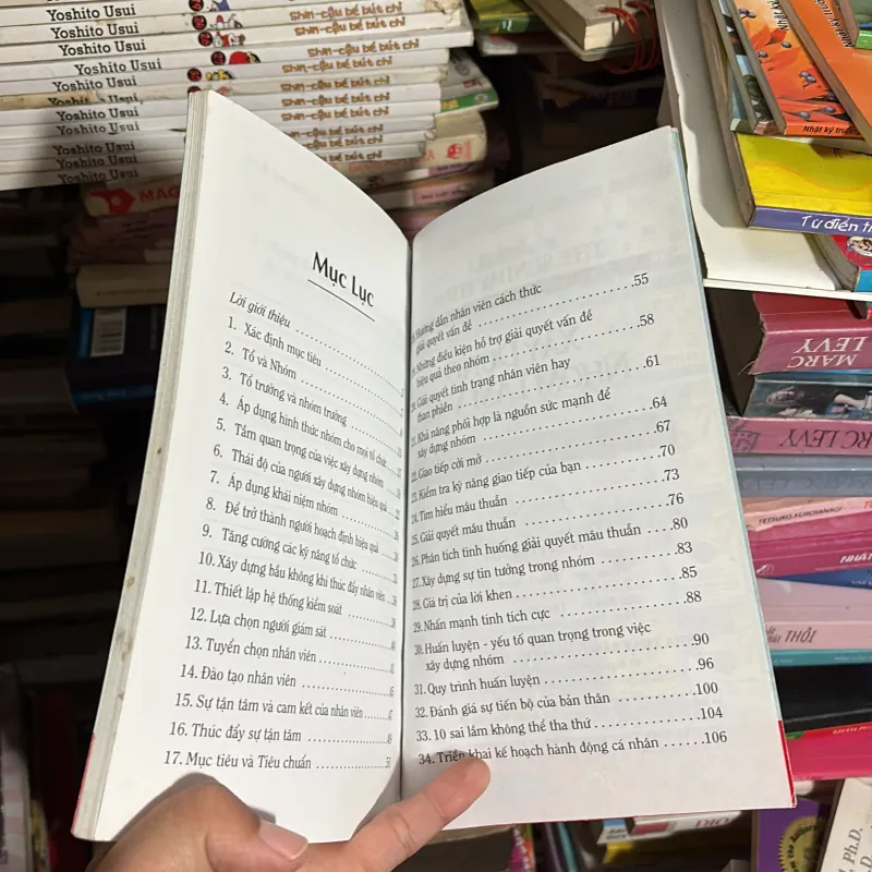 II Sách Kỹ Năng: Xây Dựng Nhóm Làm Việc (The Sunday Times) - ROBERT B. MADDUX - 2008 779255