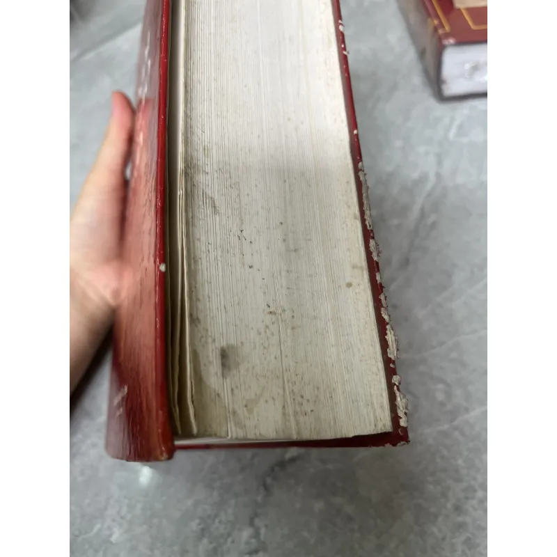 VIỆT NAM PHẬT GIÁO SỬ LUẬN ( BÌA CỨNG ) - NGUYỄN LANG 1030252