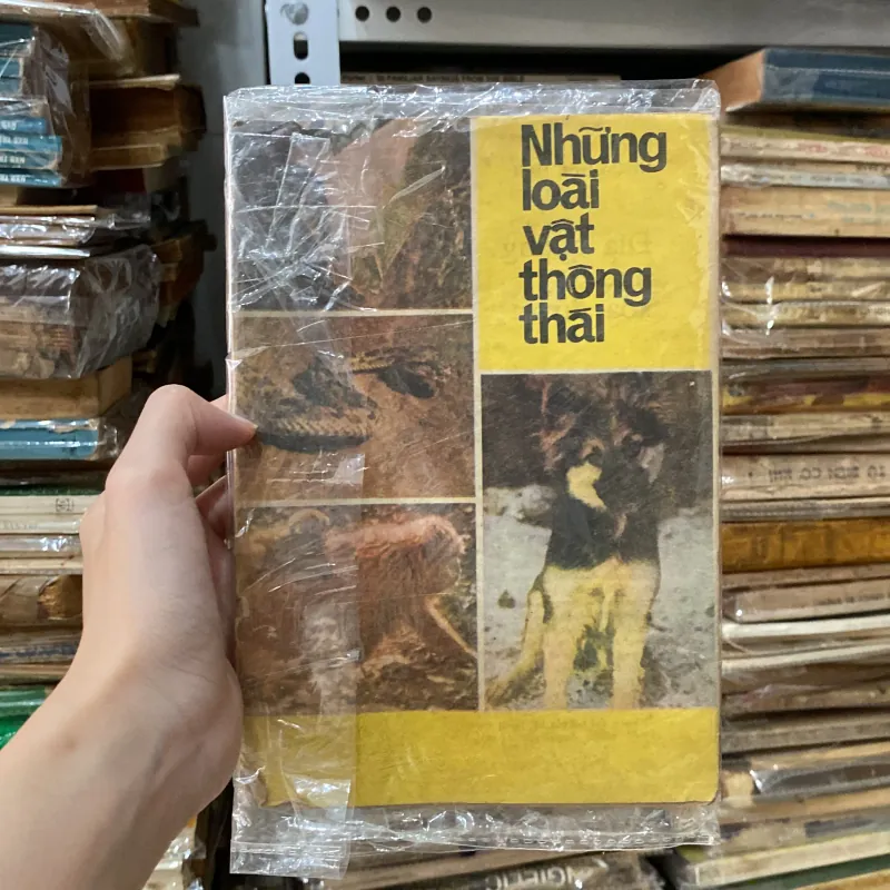 Những Loài Vật Thông Thái♟️ 934773