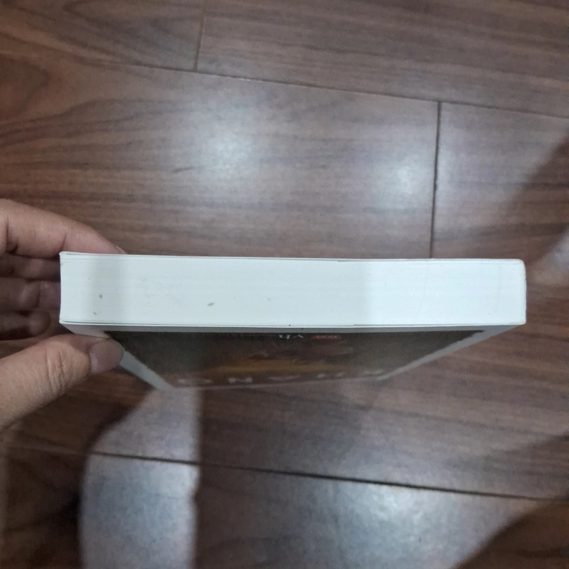 Một mình một ngựa - ma văn kháng 516466