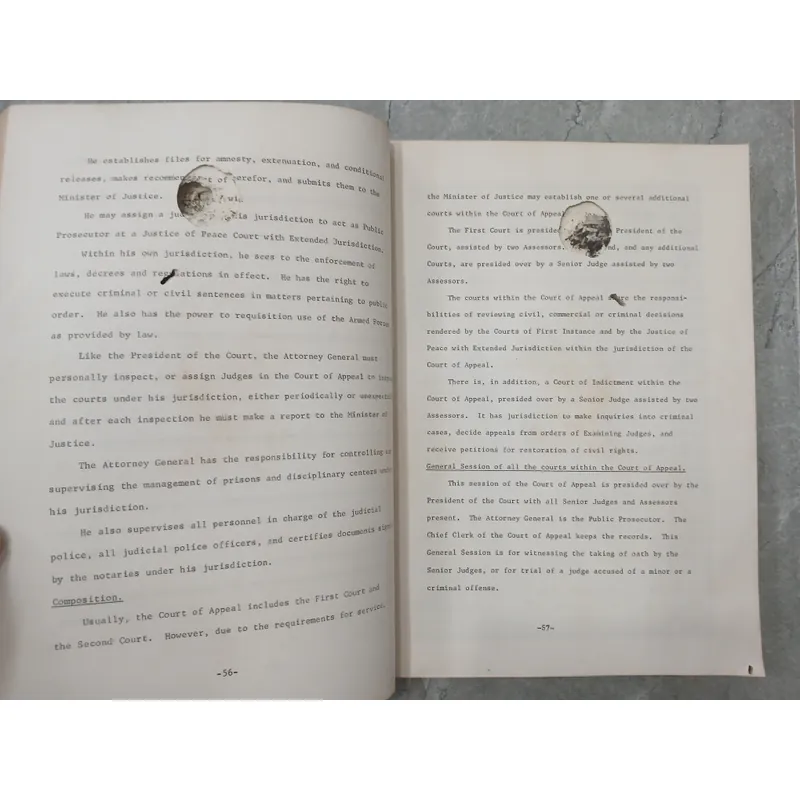 LEGAL SYSTEM - HỆ THỐNG PHÁP LUẬT 590773