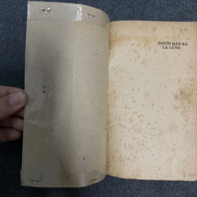 Người đàn bà lạ lùng - Francoise Sagan 1031722