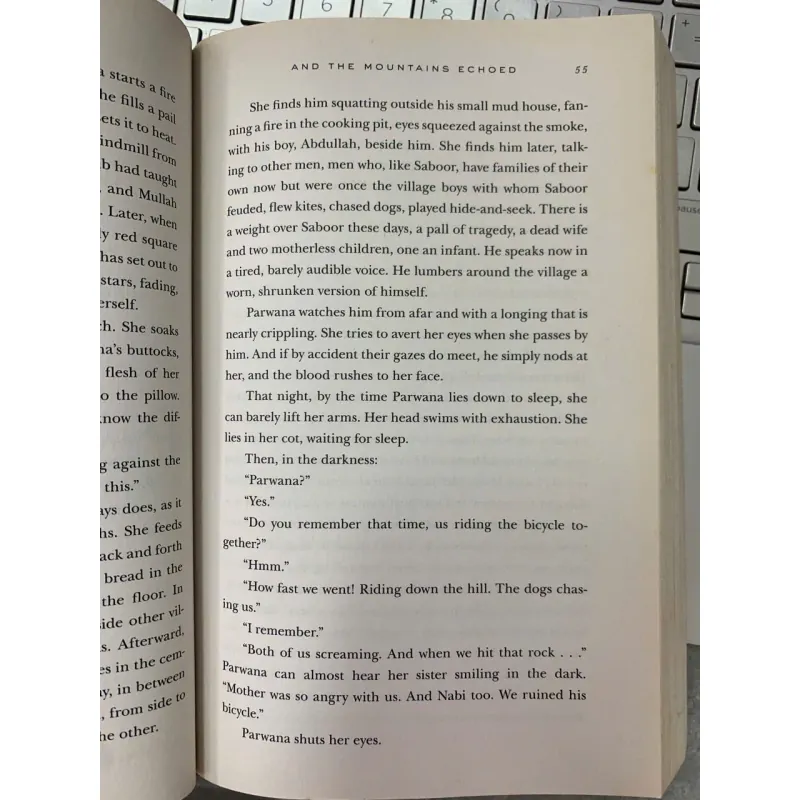 AND THE MOUNTAINS ECHOED (VÀ RỒI NHỮNG NGỌN NÚI VỌNG VANG) - KHALED HOSSEINI 674612