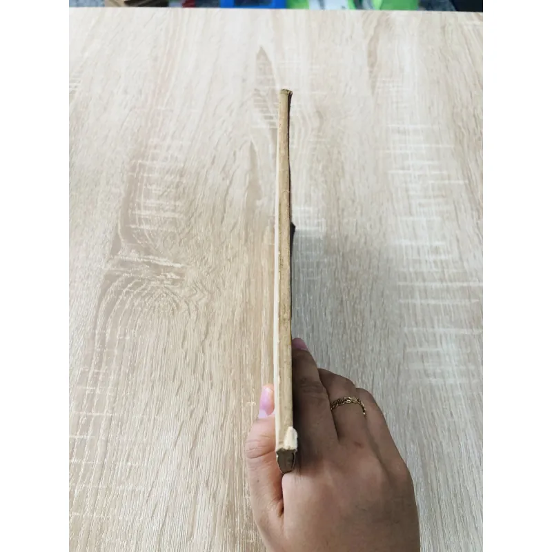 TRỒNG CA CAO Ở ĐỒNG BẰNG SÔNG CỬU LONG  956951