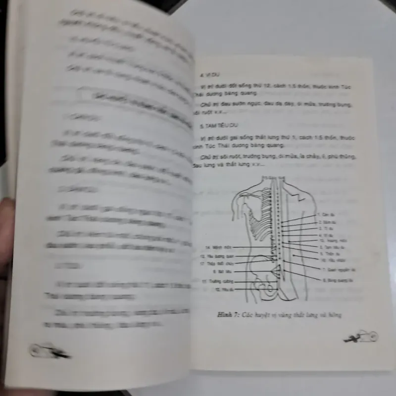 Xoa bóp trị bách bệnh cho người cao tuổi 995561