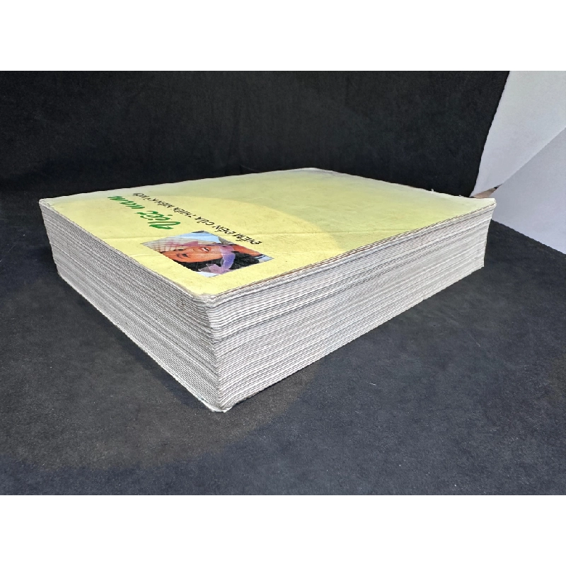 [Phiên Chợ Sách Cũ] Non Nước Việt Nam, Sách Hướng Dẫn Du Lịch, 1999 1304 SBM 446126