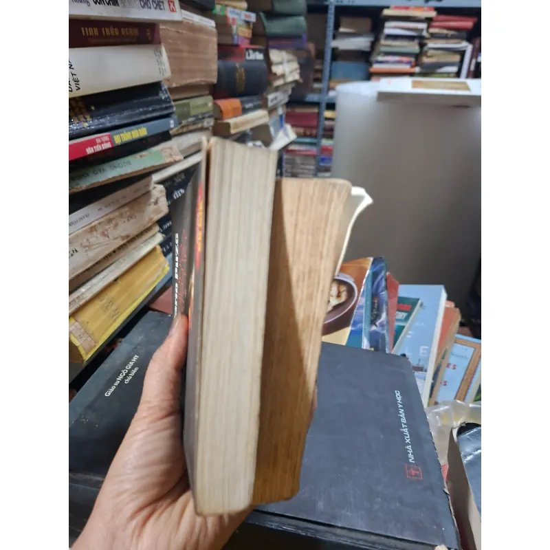 Những kẻ điên rồ phải chết, mario puzo 971345