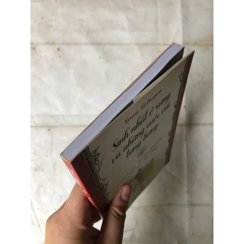 Sinh Nhật Ở Rừng Và Những Cuộc Vui Tưng Bừng - Toon Tellegen, Jessica Ahlberg 800752