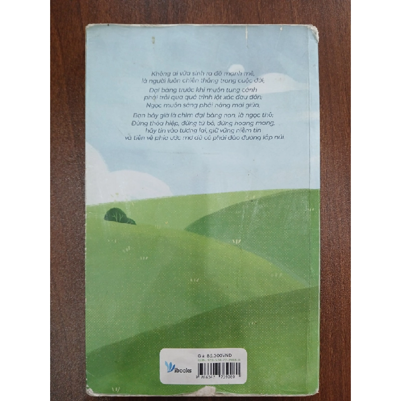 Ở lại thành phố hay về quê?<br>Mèo Maverick 539471