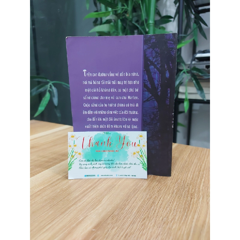 Đôi ủng ma 550504