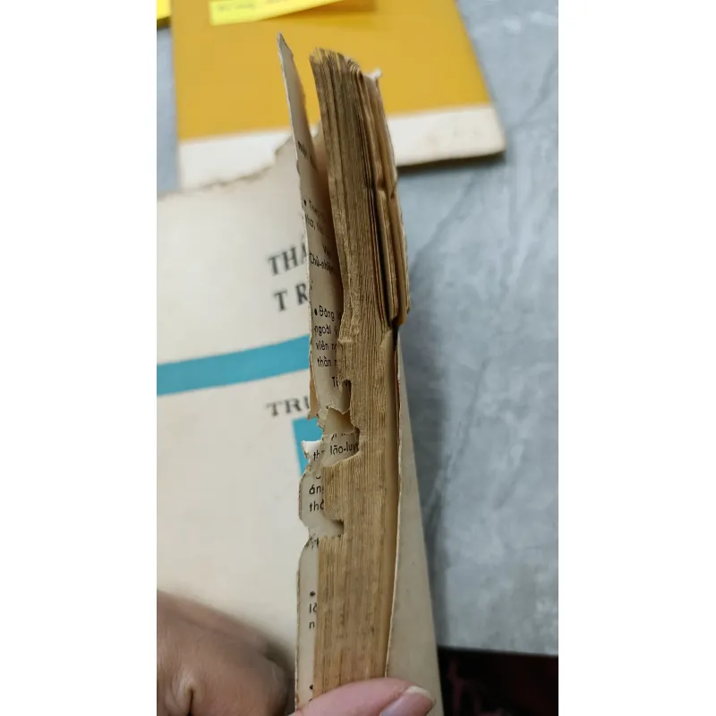 MỘT THẾ KỶ - THÁI BÌNH TRẢ LẠI - TRUY PHONG 716504