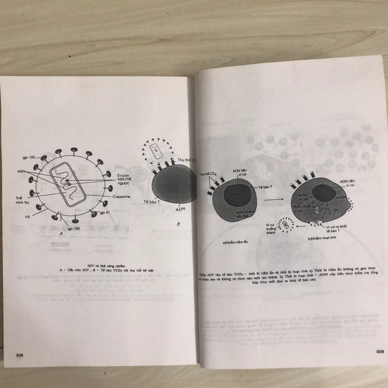 VI SINH VẬT HỌC  335830