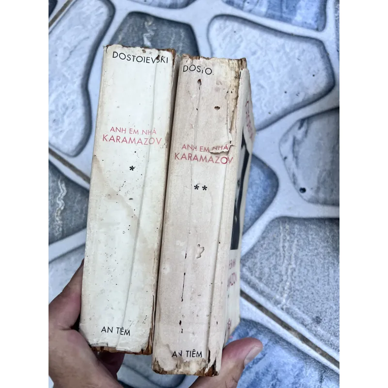 Anh em nhà karamazov - Trương Đình Cử (1972) 752773
