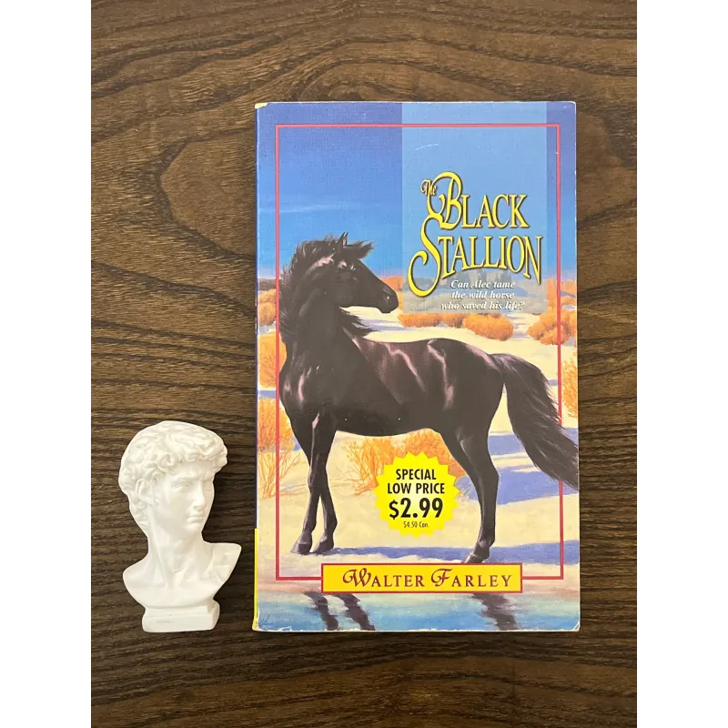 The Black Stallion 972887