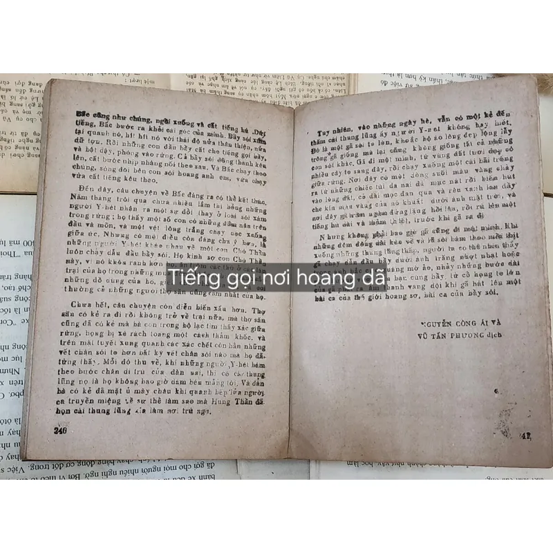 Jack London - TIẾNG GỌI NƠI HOANG DÃ 717429