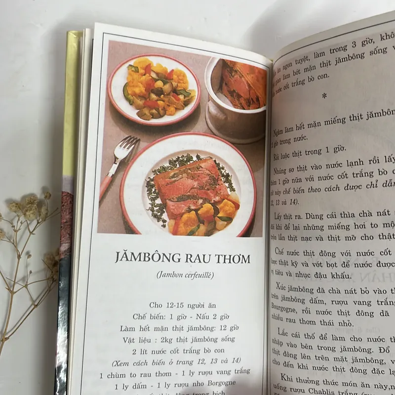Bán sách cũ – Nấu món ăn Tây (Nấu đông & Patê) – Song Hồng (biên tập) 594772