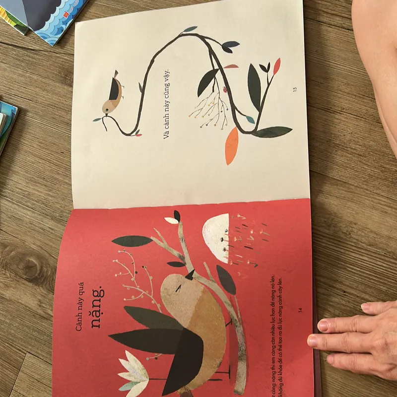 Sách cho bé - Chin xây tổ- in màu đẹp 639712