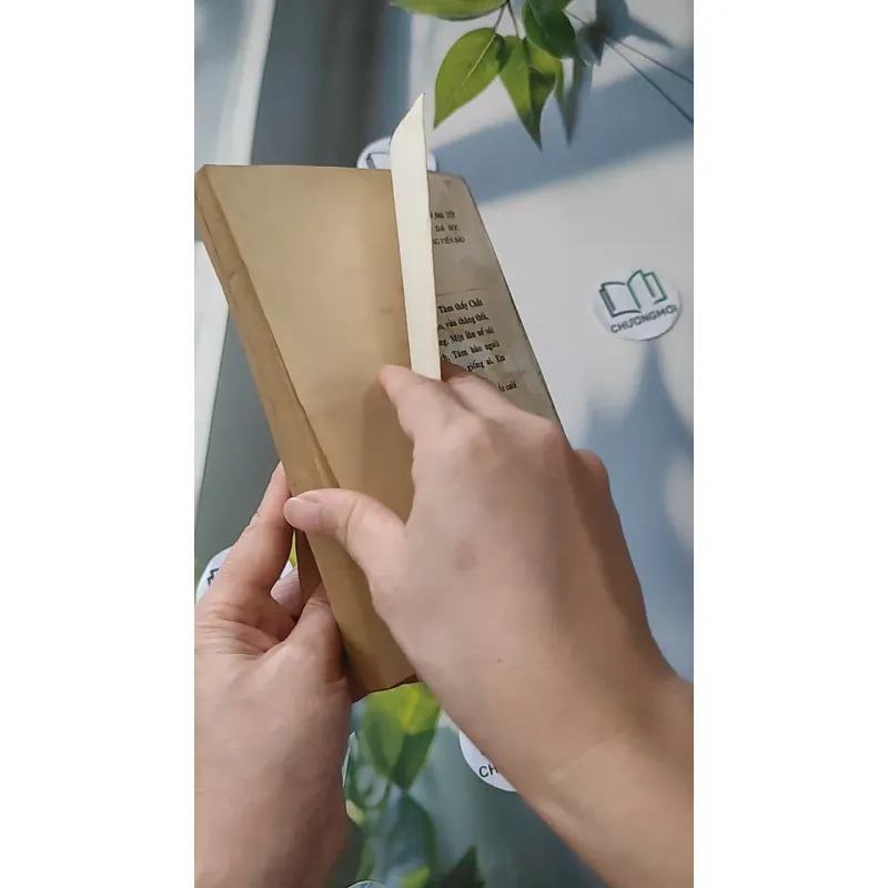 [XƯA] [HIẾM] Con Bụi (1990) - Trần Chiến 997596