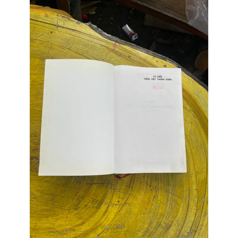 TỪ ĐIỂN TIẾNG VIỆT THÔNG DỤNG- NGUYỄN NHƯ Ý CHỦ BIÊN 730987
