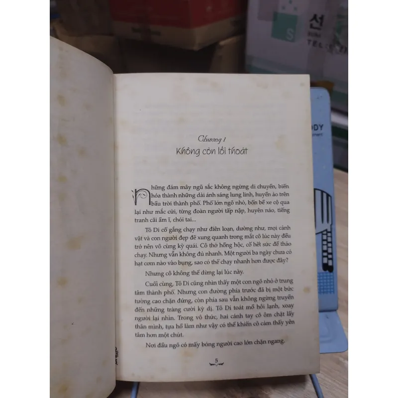 Sách: Mèo Hoang - TG: Đinh Mặc (Bộ 2 tập) - (B2) 936360