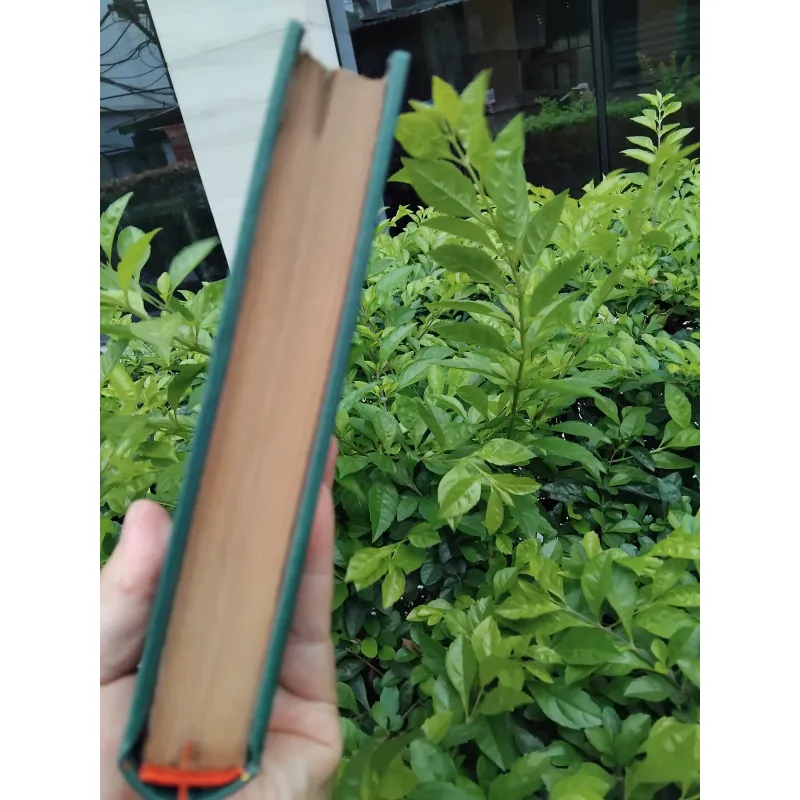 Mấy người con trai Vương Ling của Pearl Puck 970860