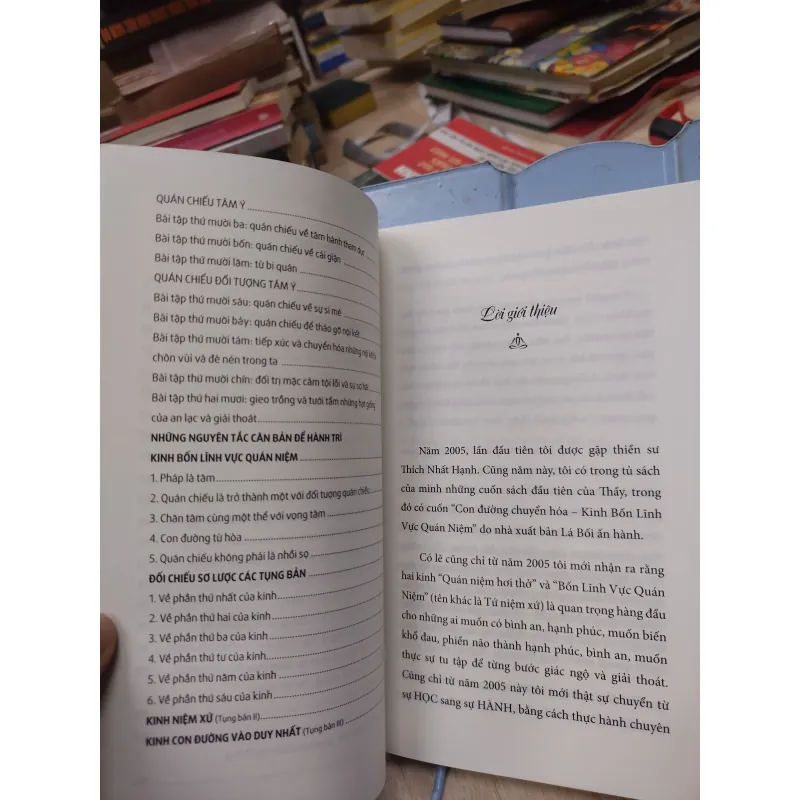 Sách: Con đường chuyển hoá - TG: Thích Nhất Hạnh (B1) 782723