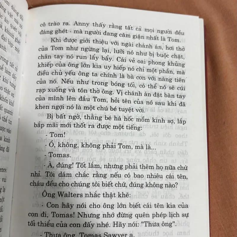 Những cuộc phiêu lưu của Tom Sawyer 🌊 695272