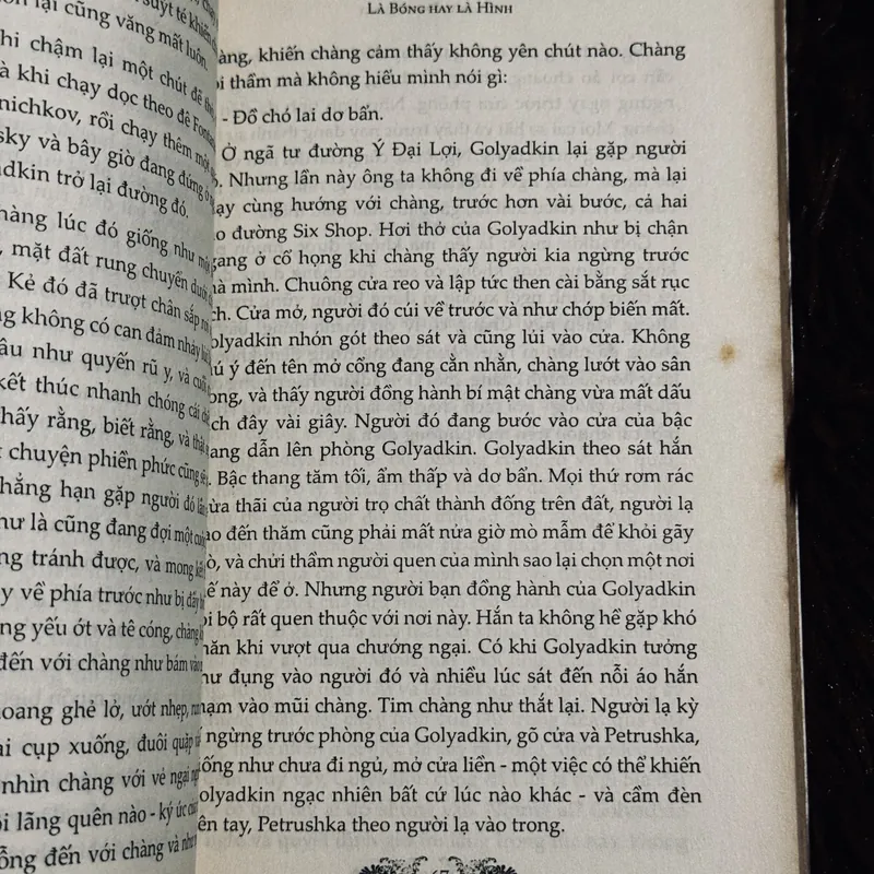 Là bóng hay là hình 738158