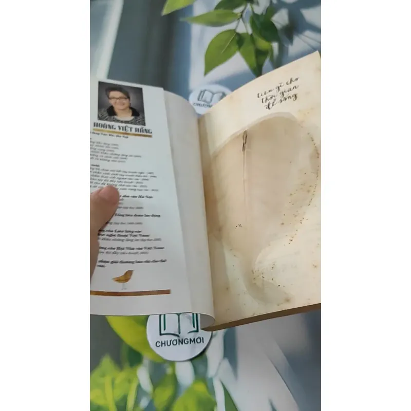 Tiêu Gì Cho Thời Gian Để Sống - Hoàng Việt Hằng 727247