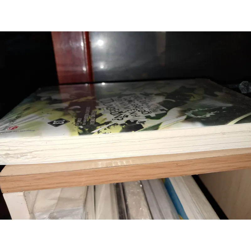 Liệu có sai lầm khi tìm kiếm cuộc gặp gỡ trong Dungeon Tập 13 707991