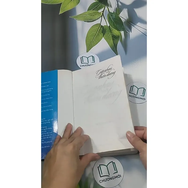 Gặp nhau nơi thiên đường - Tiểu Ni Tử 694914