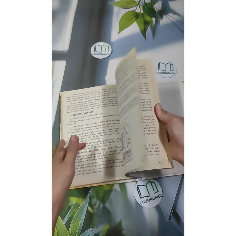 Phong Thủy Trong Hôn Nhân - Thanh Long 990527