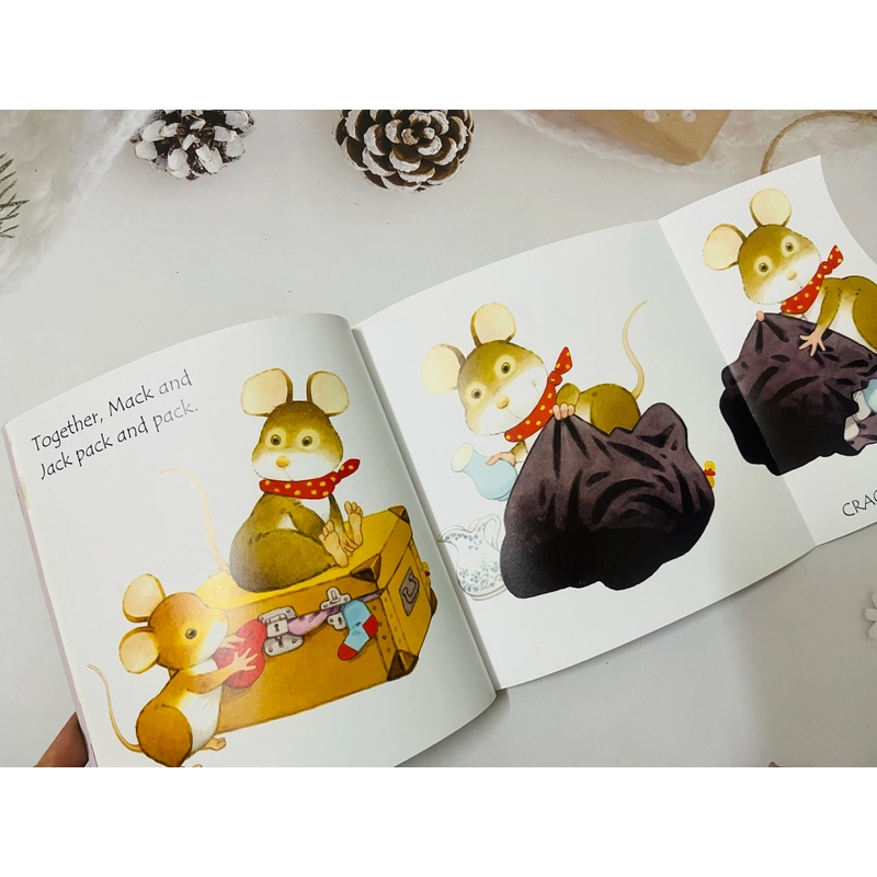 Usborne Phonic reader bộ cơ bản có trang lật mở 546054