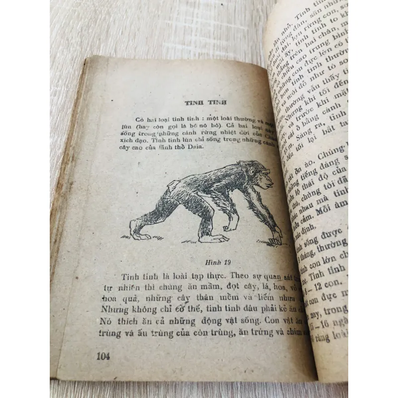 NHỮNG ĐỘNG VẬT HIẾM TRÊN THẾ GIỚI  960099