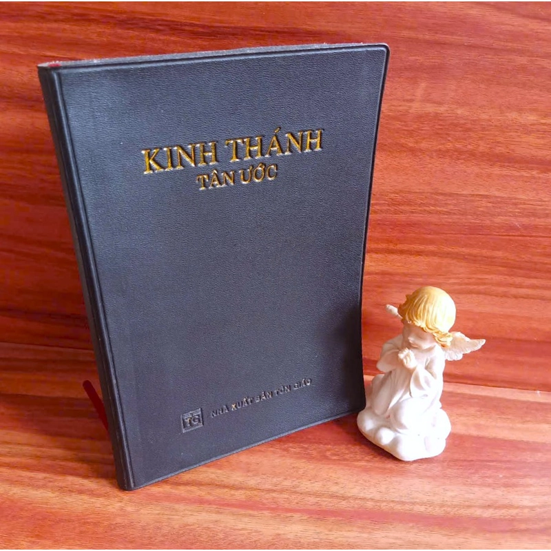 Kinh Thánh Tân Ước 331213