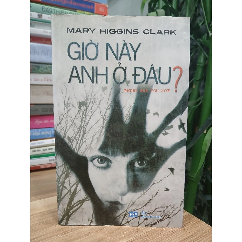 Giờ Này Anh Ở Đâu? Mary Higgins Clark 749311