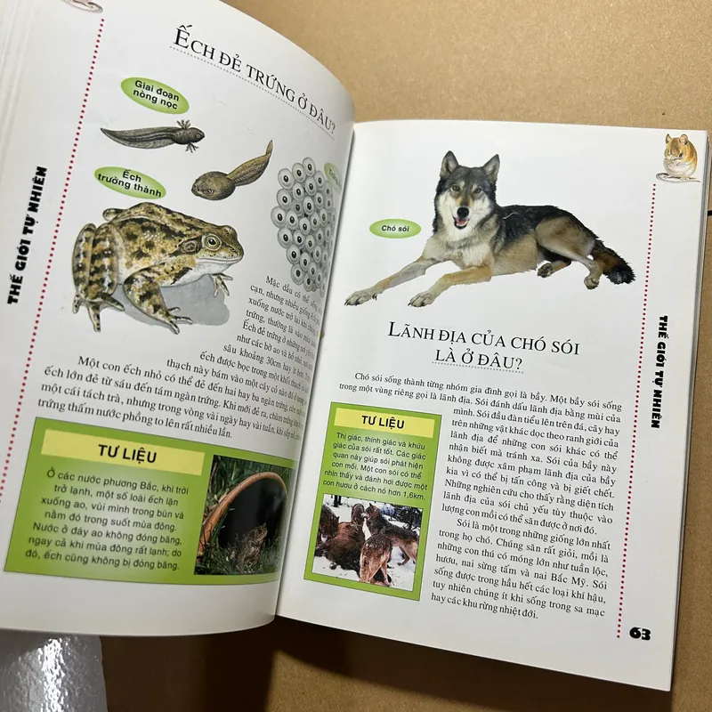 WHERE tôi muốn biết ở đâu...? 571539