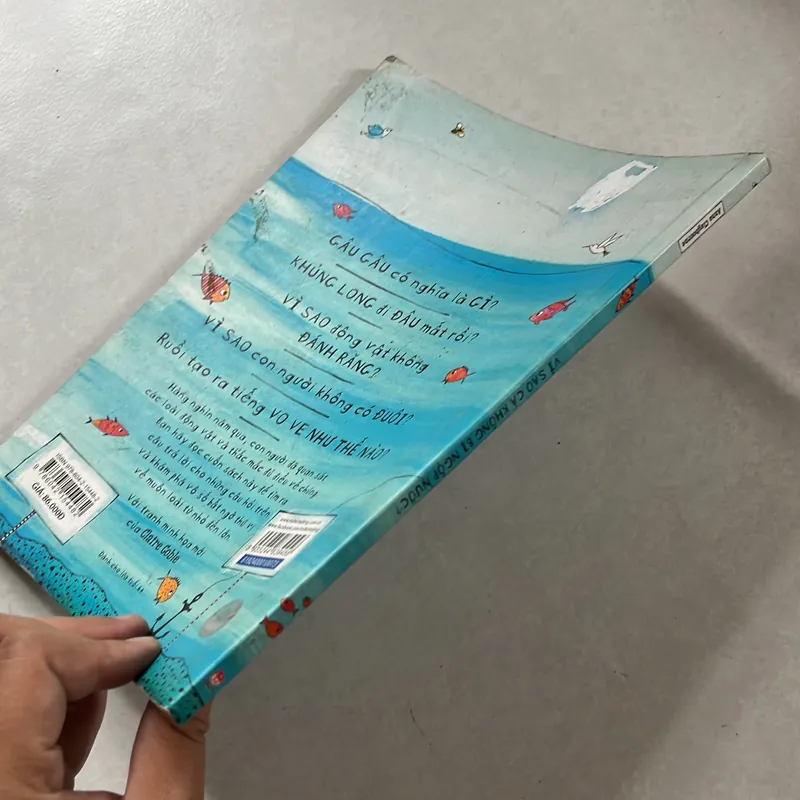 Vì sao cá không bị ngợp nước? 596642