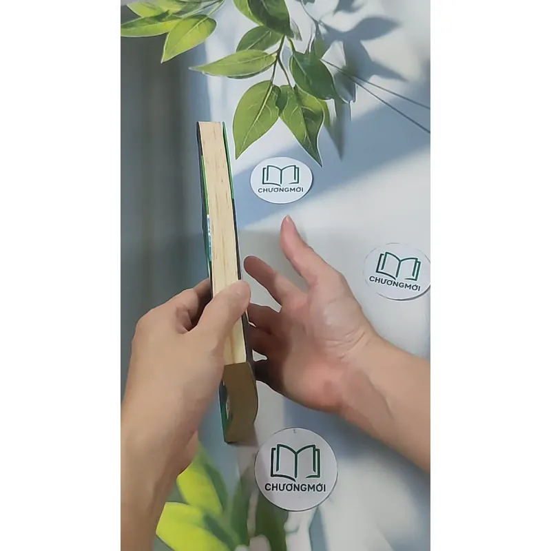 Vượt biển lớn: Cách đi lên của người khởi nghiệp từ 5 xu - Nguyễn Thái Duy 688542