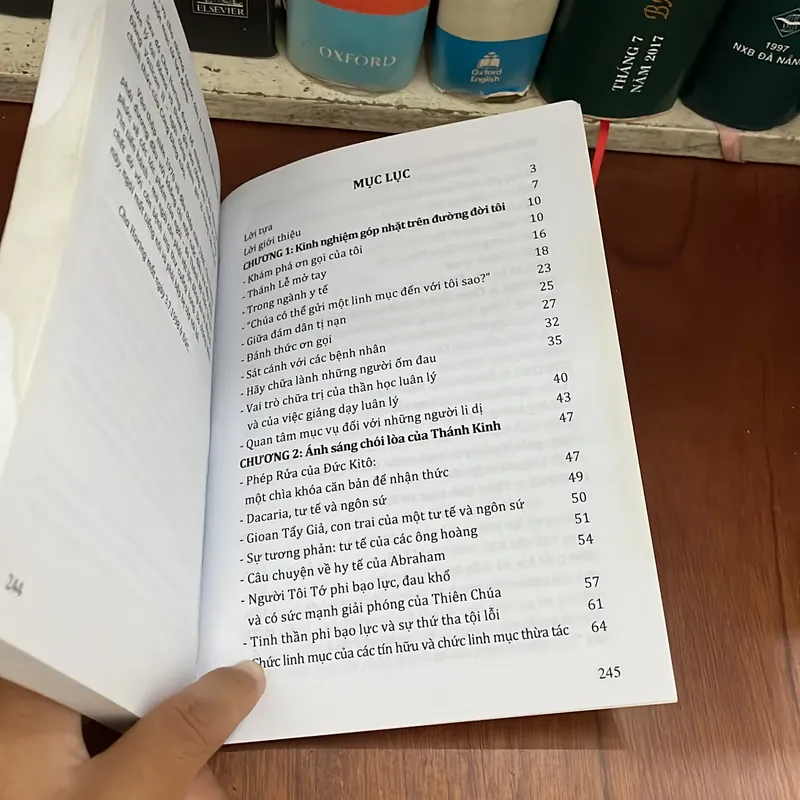 II Tựa sách: Giáo Hội Cần Loại Linh Mục Nào - BERNARD HARING - Lê Công Đức (Dịch) 562845