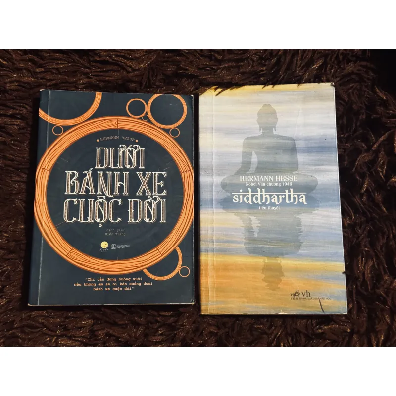 Combo 2c Hermann Hesse 994195