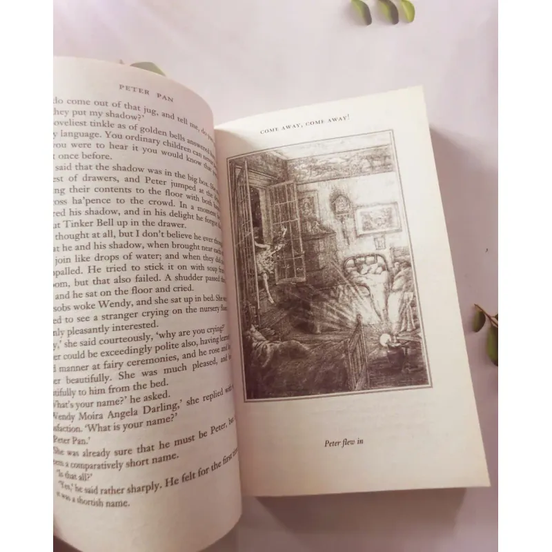 Peter Pan & Peter Pan in Kensington Gardens 1002048